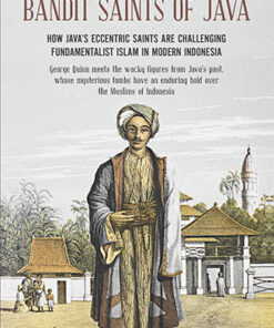 BANDIT SAINTS OF JAVA by George Quinn